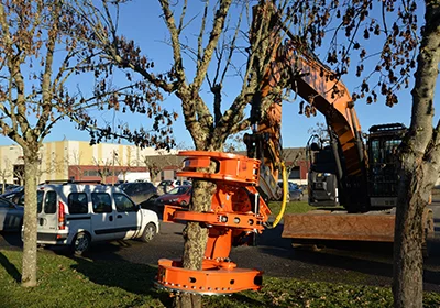 Nouveauté chez NEWLOC : location de tête d'abattage pour une coupe précise et efficace